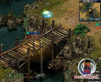 java 與 flash 誰是網頁游戲領導者