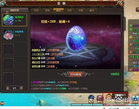 風色軌跡網頁游戲寵物獲取攻略